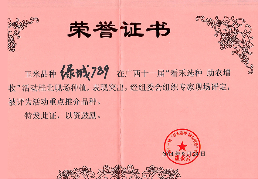綠城789獲第十一屆看禾選種大會(huì)上評(píng)為重點(diǎn)推介品種