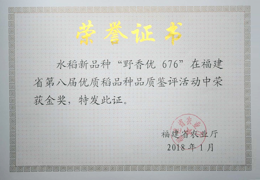 野香優(yōu)676在福建省第八屆優(yōu)質(zhì)稻品種品鑒評(píng)活動(dòng)中評(píng)為金獎(jiǎng)