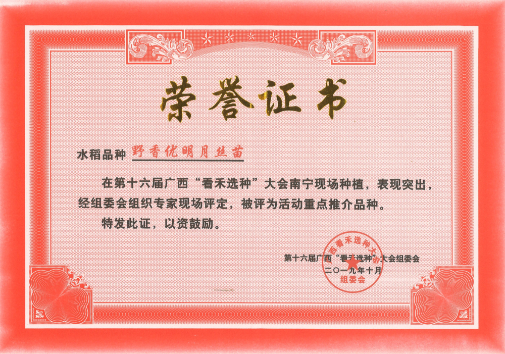 野香優(yōu)明月絲苗獲第十六屆看禾選種大會重點(diǎn)推介品種