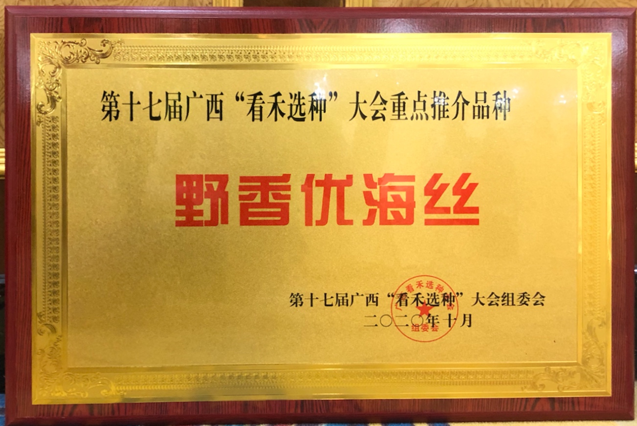 野香優(yōu)海絲獲第十七屆廣西“看禾選種”大會重點(diǎn)推介品種